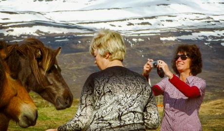 Urlaub Island Reisen - Wikingerkreuzfahrt nach Island und den Färöer Inseln