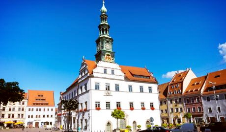 Urlaub Deutschland Reisen - Besuch im Schloss Zuschendorf zur Kamelienblütenschau und Pirna  mit seiner wunderschönen Altstadt